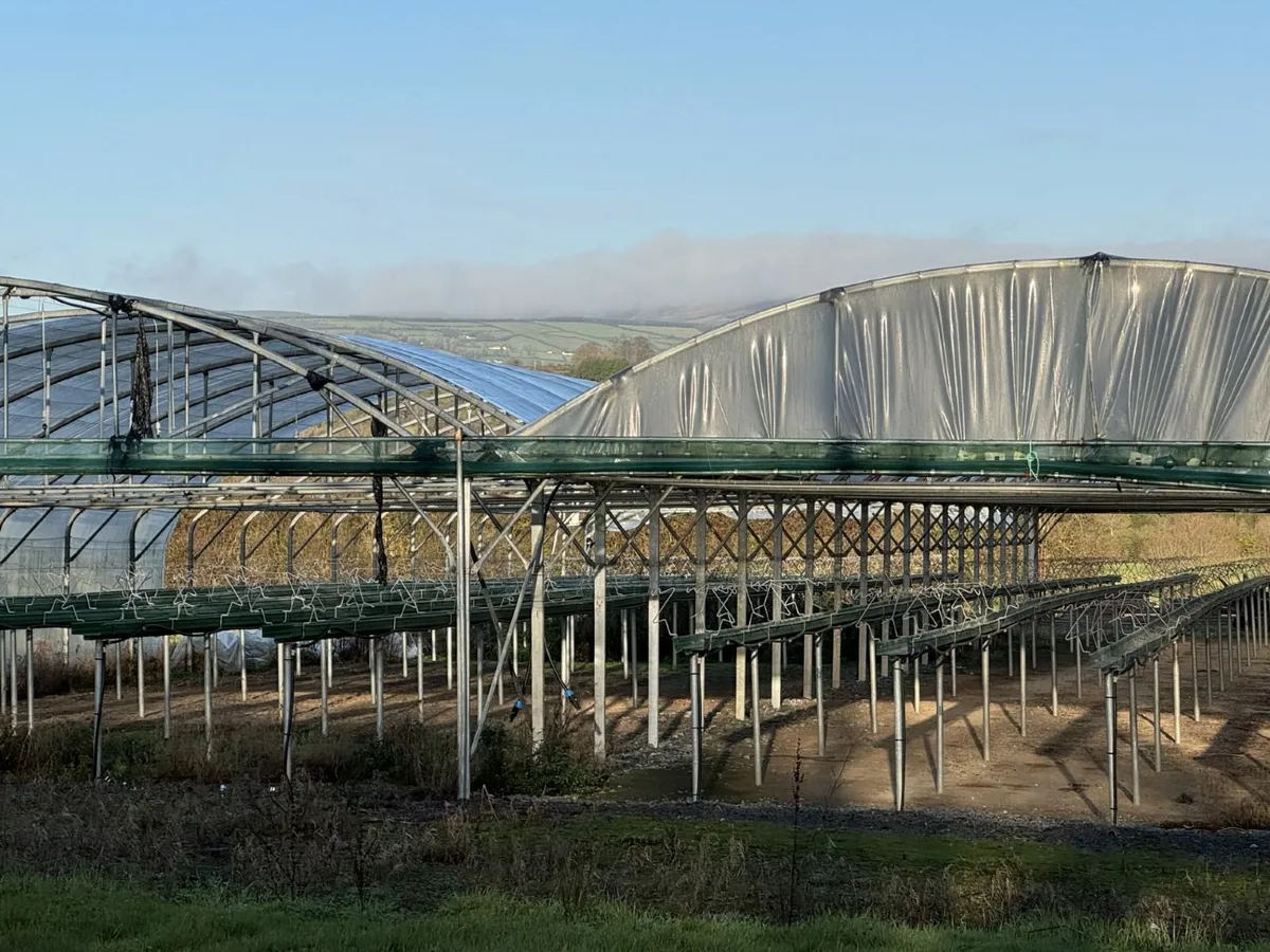 Polytunnel - Image 1