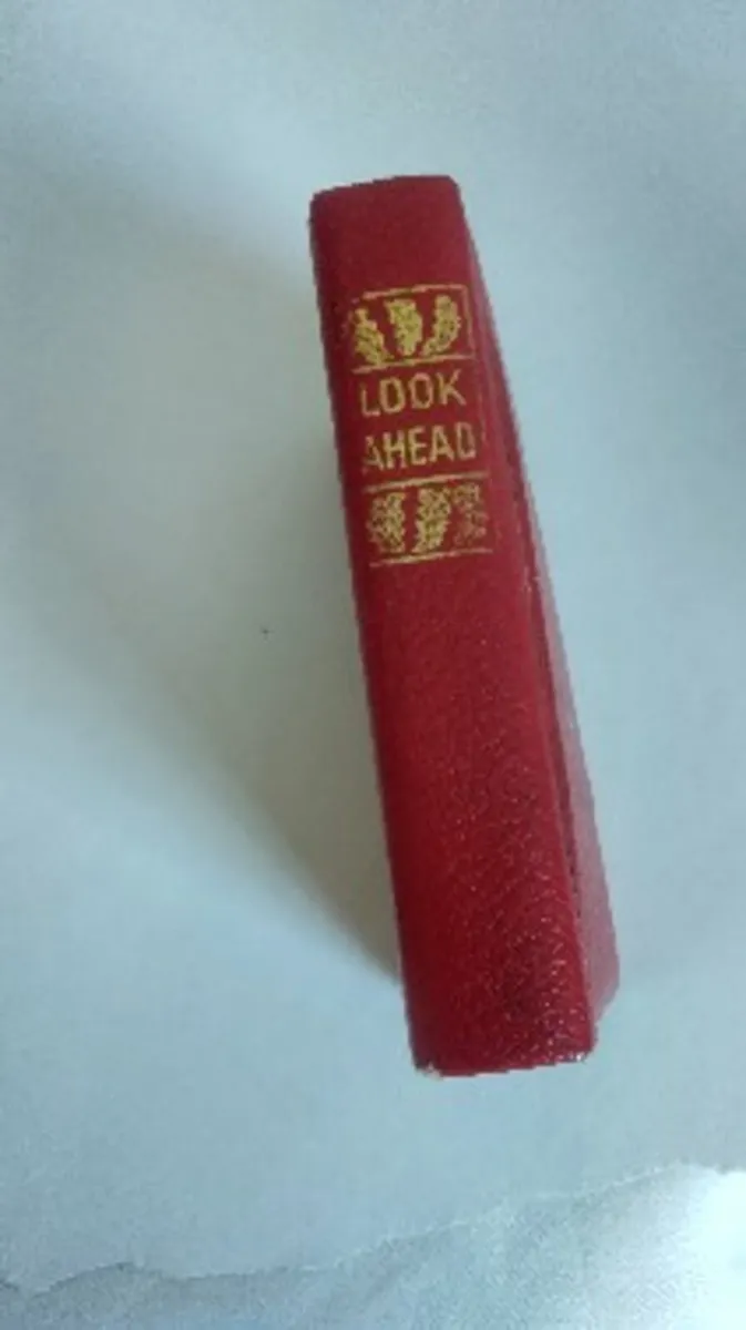 Antique metal money box - Image 2