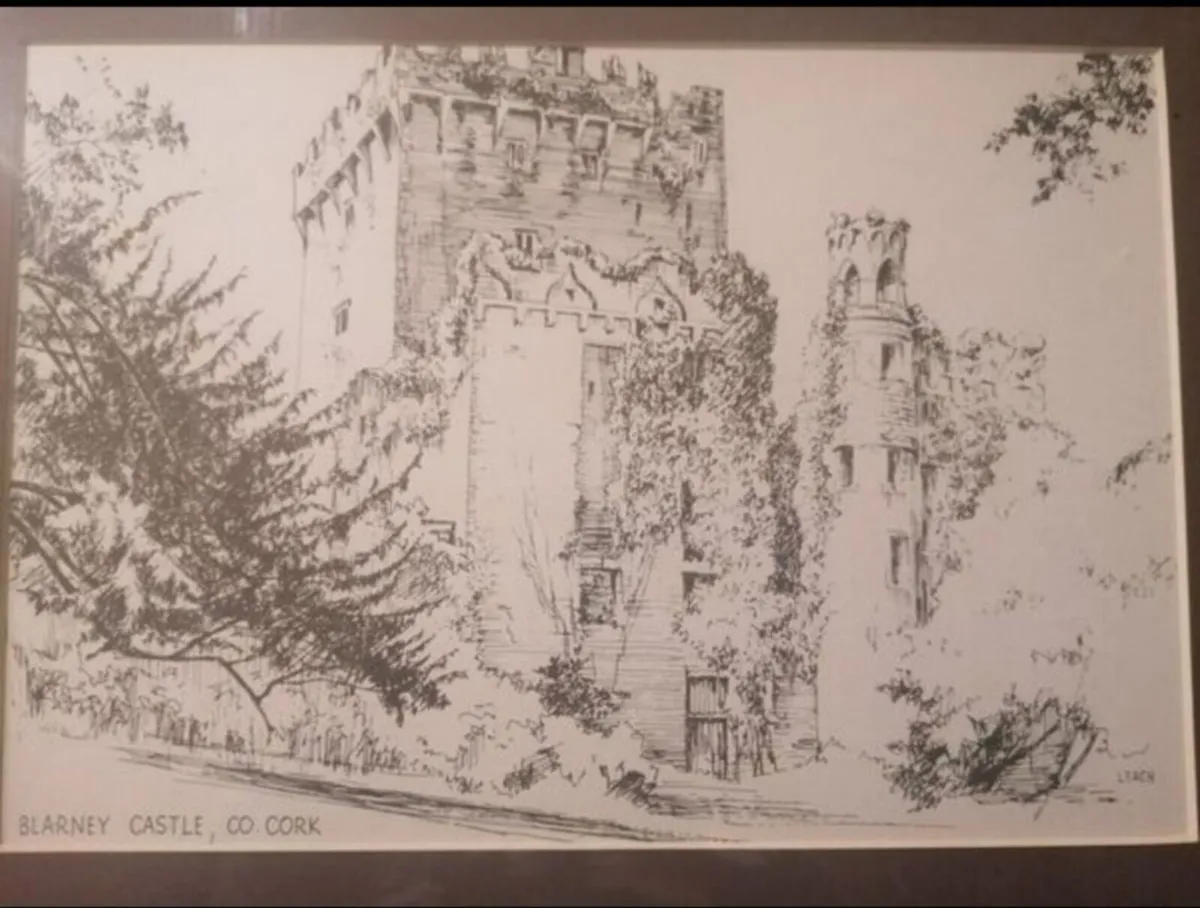 Blarney Castle by Leach - Image 2