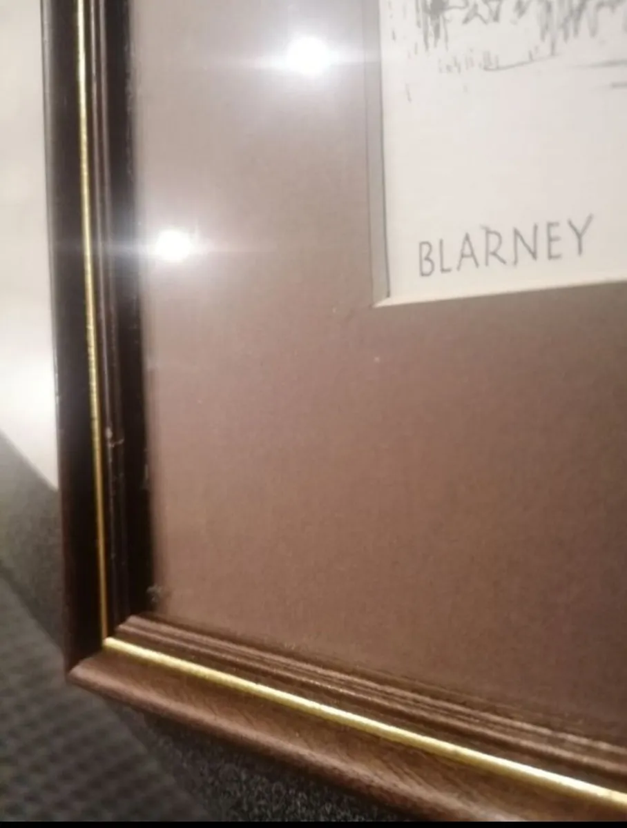 Blarney Castle by Leach - Image 4