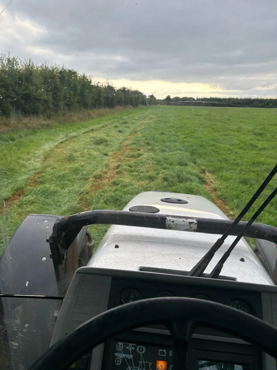 200 bales of Silage - Image 4