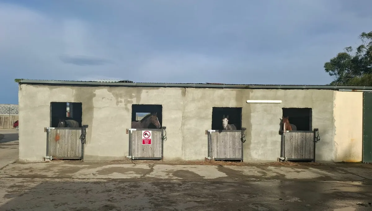 Equestrian/ livery yard - Image 1