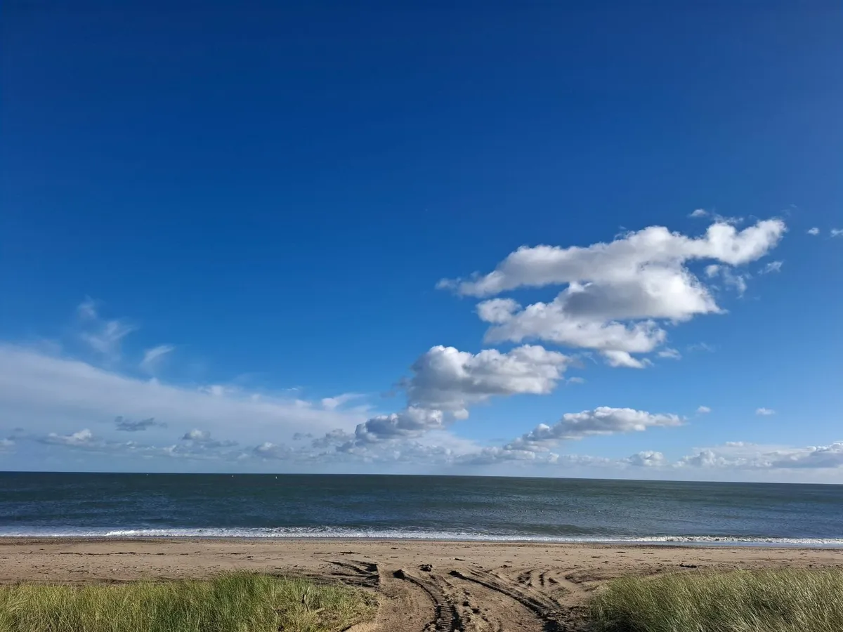 Equestrian/ livery yard - Image 3