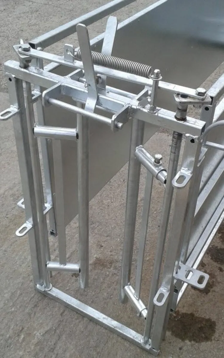 Auto gate crush - Image 1