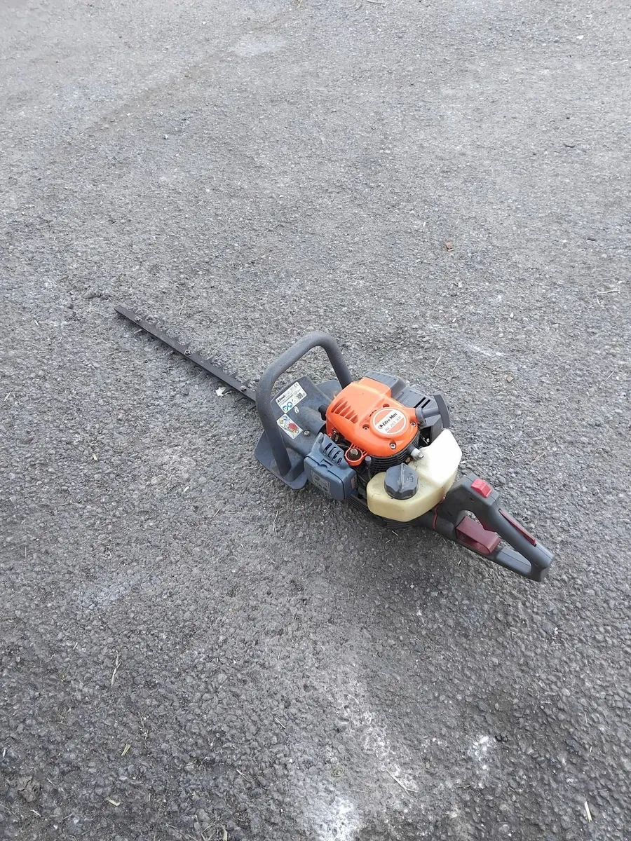 2013 oleo mac hedge strummers read add - Image 1