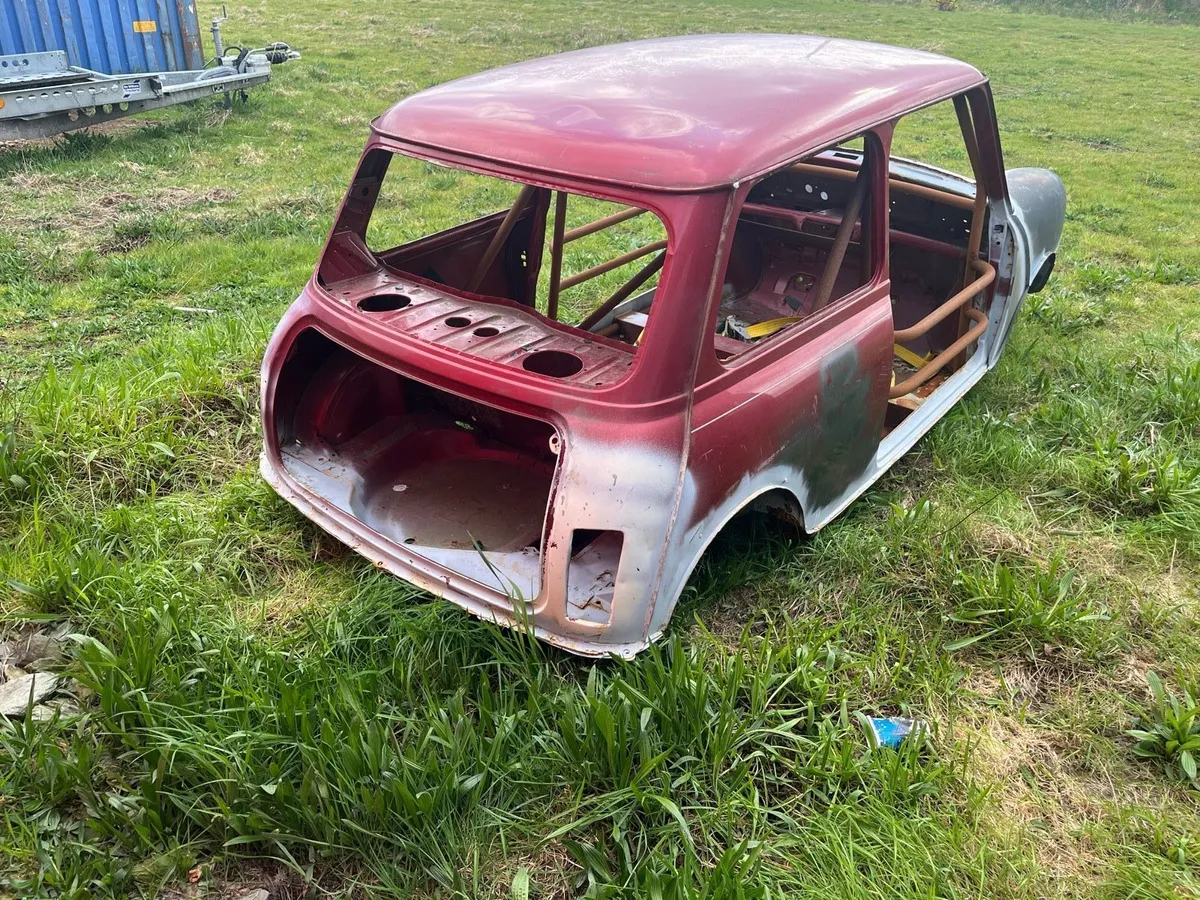 Mini shell - Image 4