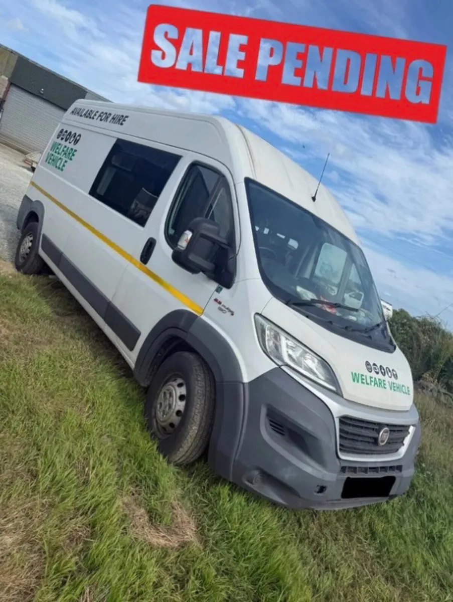 2017 Welfare Van Ducato - Image 1