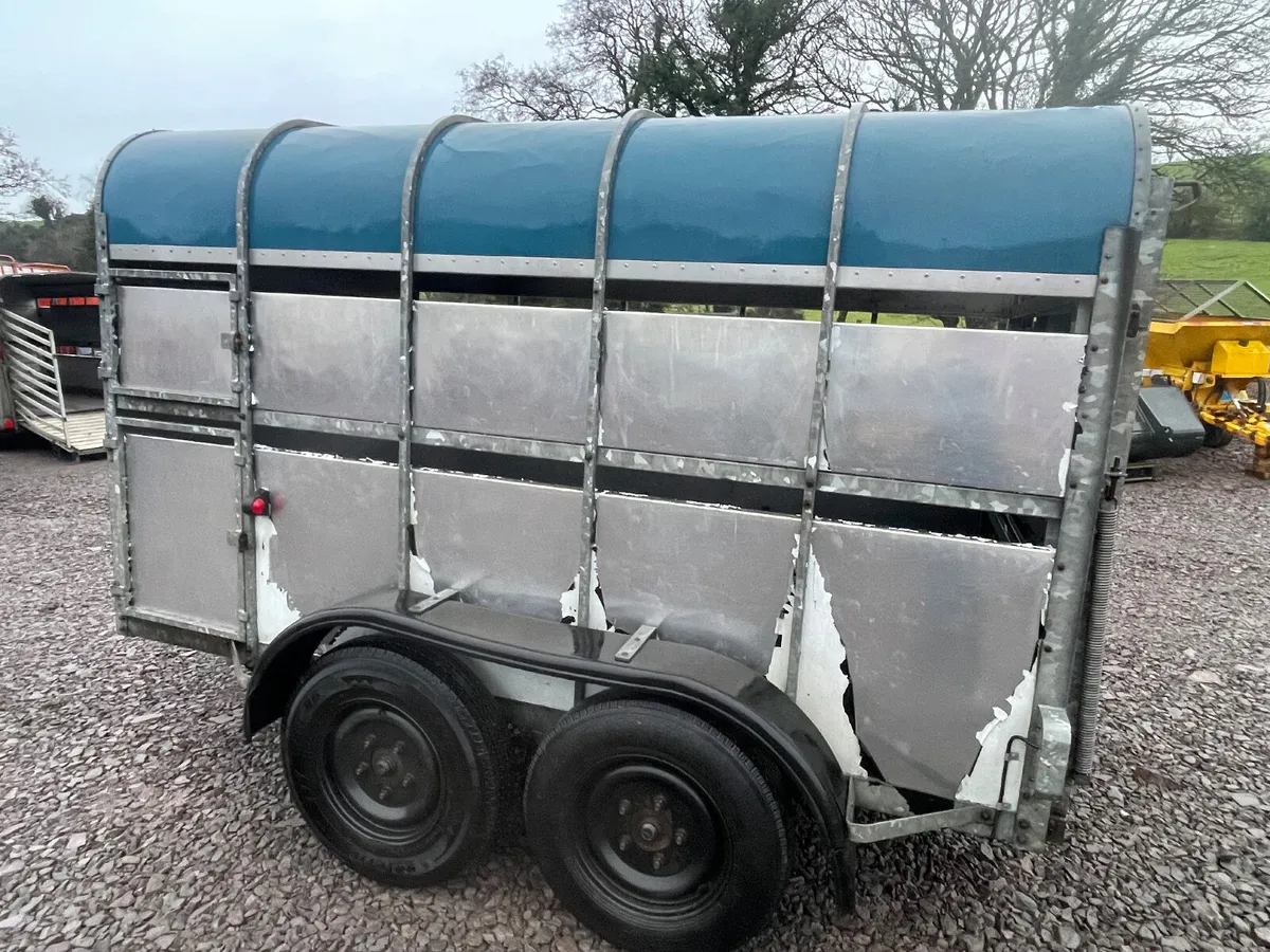 Crooks 10ft x 5ft 9” cattle trailer - Image 2