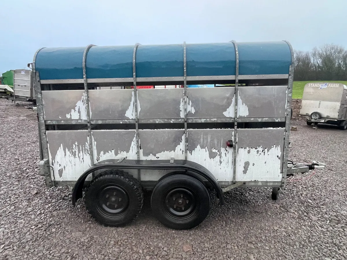 Crooks 10ft x 5ft 9” cattle trailer - Image 3