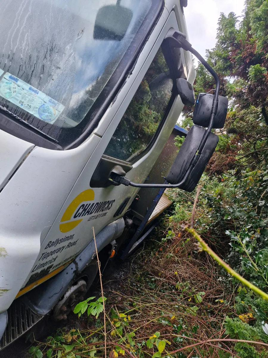 Daf 45 10 ton with crane - Image 2