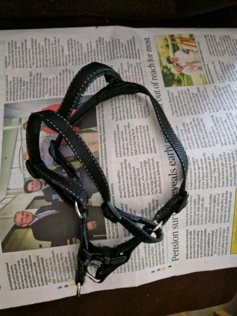 Pet section dog items. - Image 2