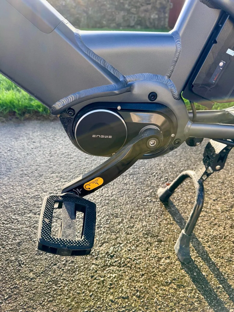 Cargo ebike Engwe LE20 + new accessories - Image 3
