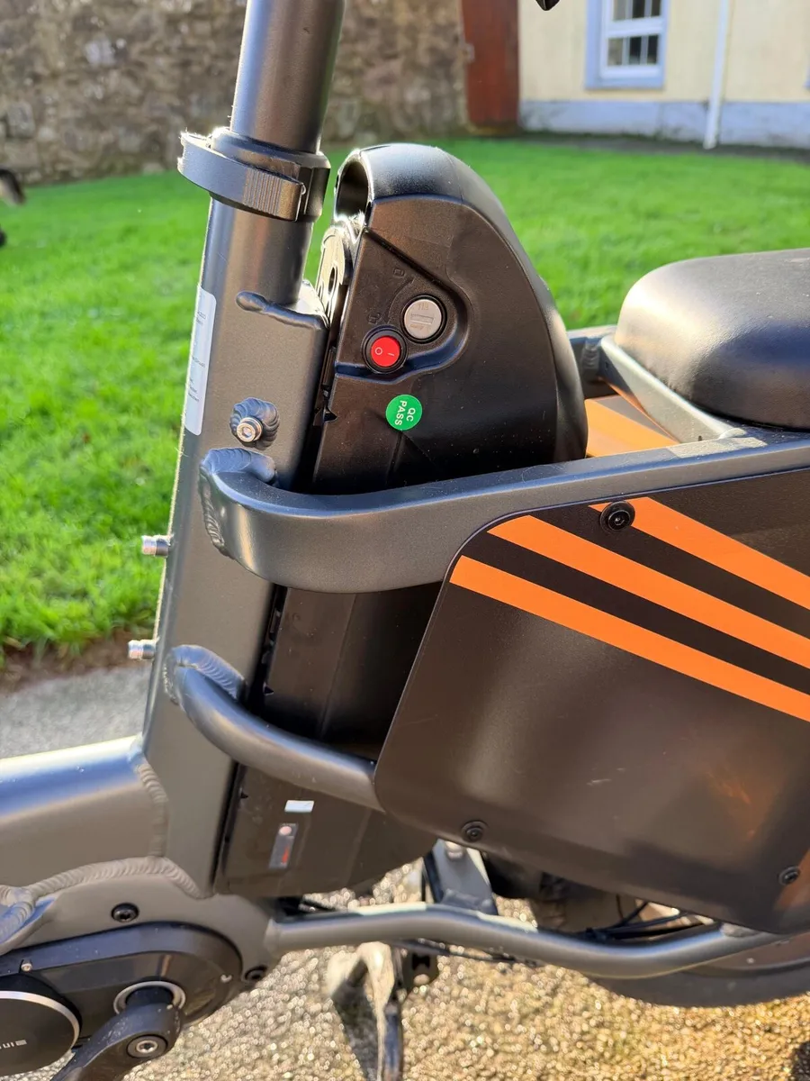 Cargo ebike Engwe LE20 + new accessories - Image 4