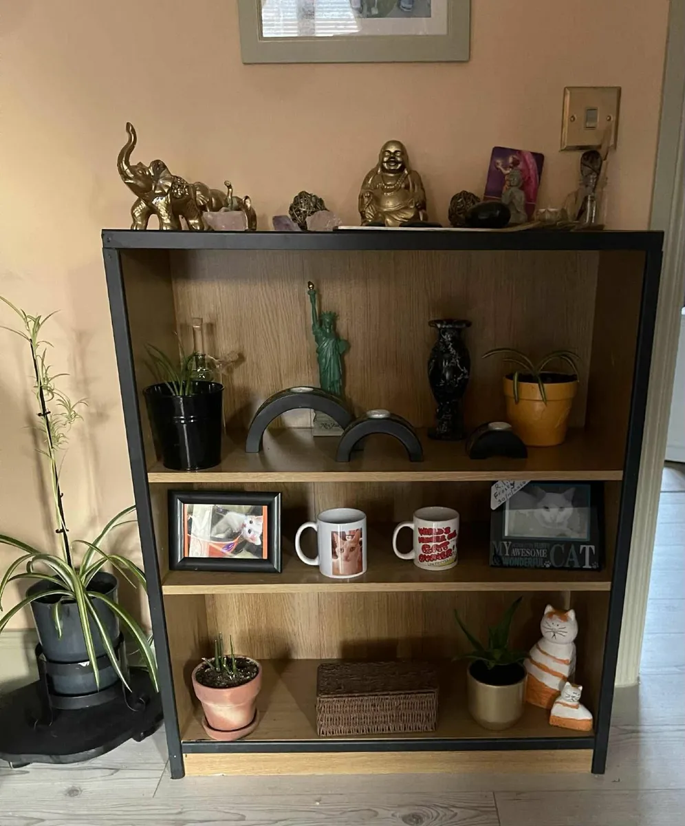 shelved unit - Image 1