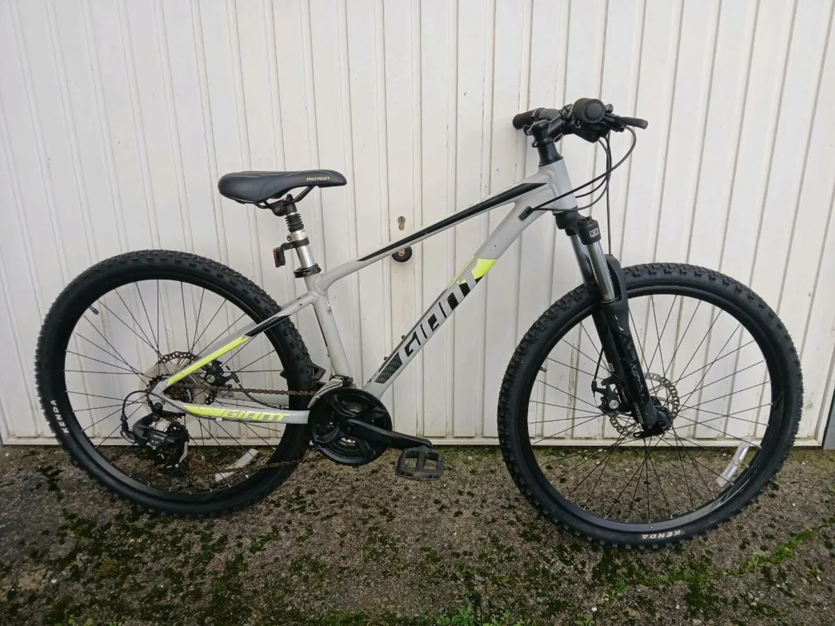 Large selection kids and adults bikes all sizes - Image 2