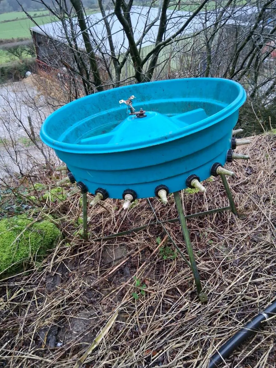 Calf feeder - Image 2