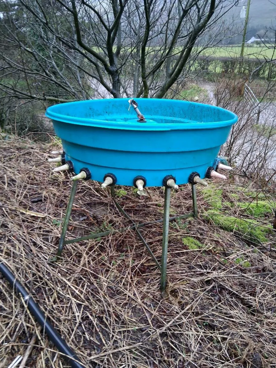 Calf feeder - Image 1