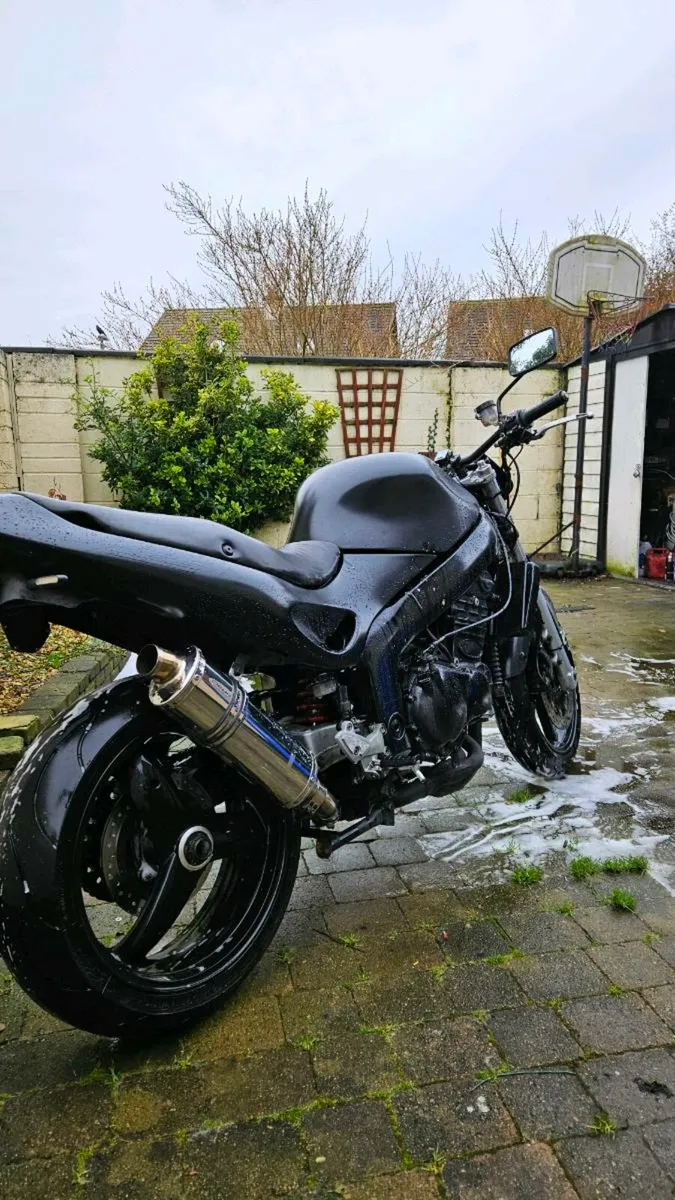 Triumph sprint 955i - Image 1