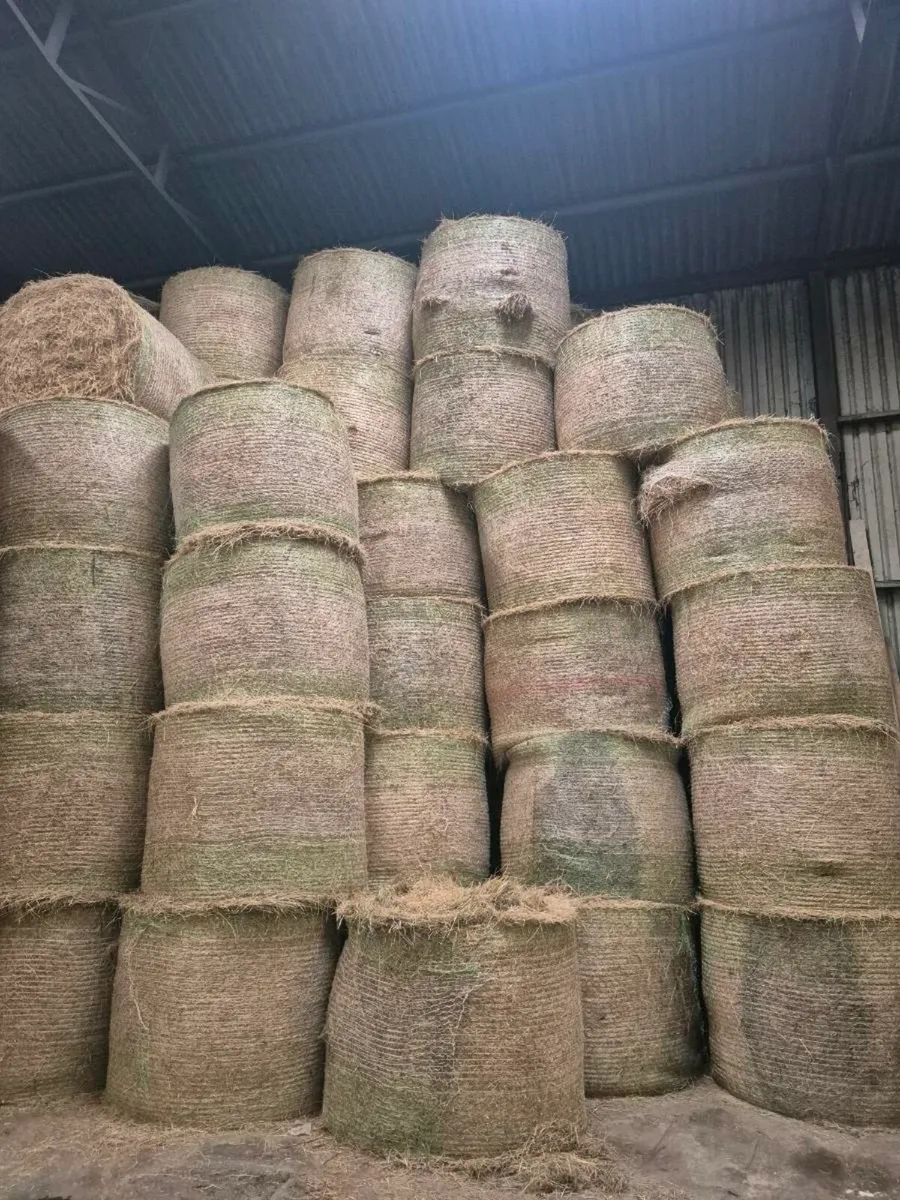 Hay/Straw - Image 2
