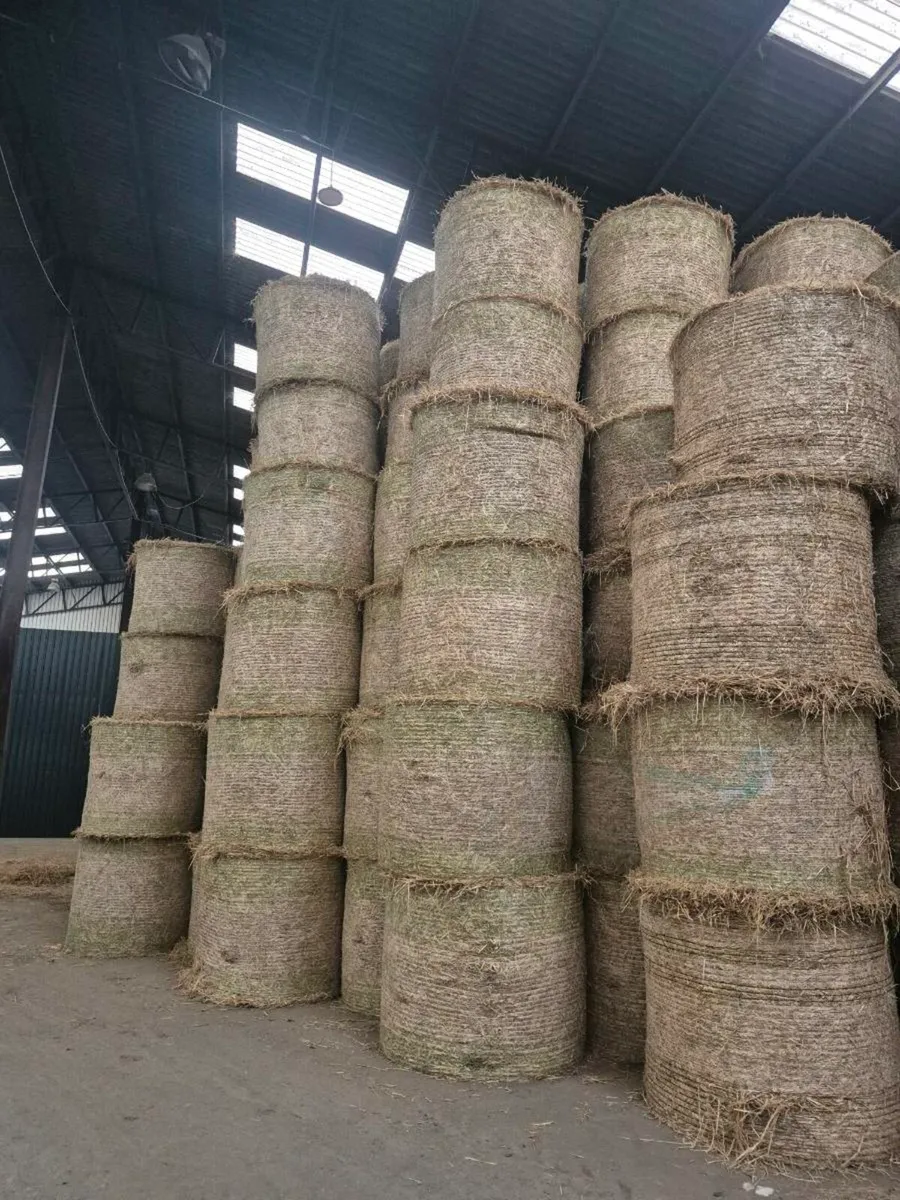 Hay/Straw - Image 1