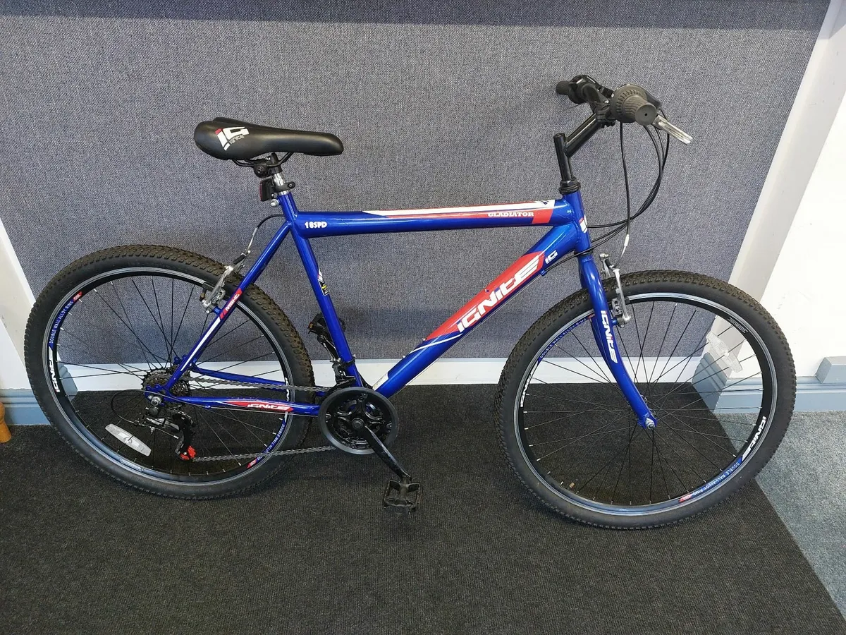 Ignite Gladiator - Image 1