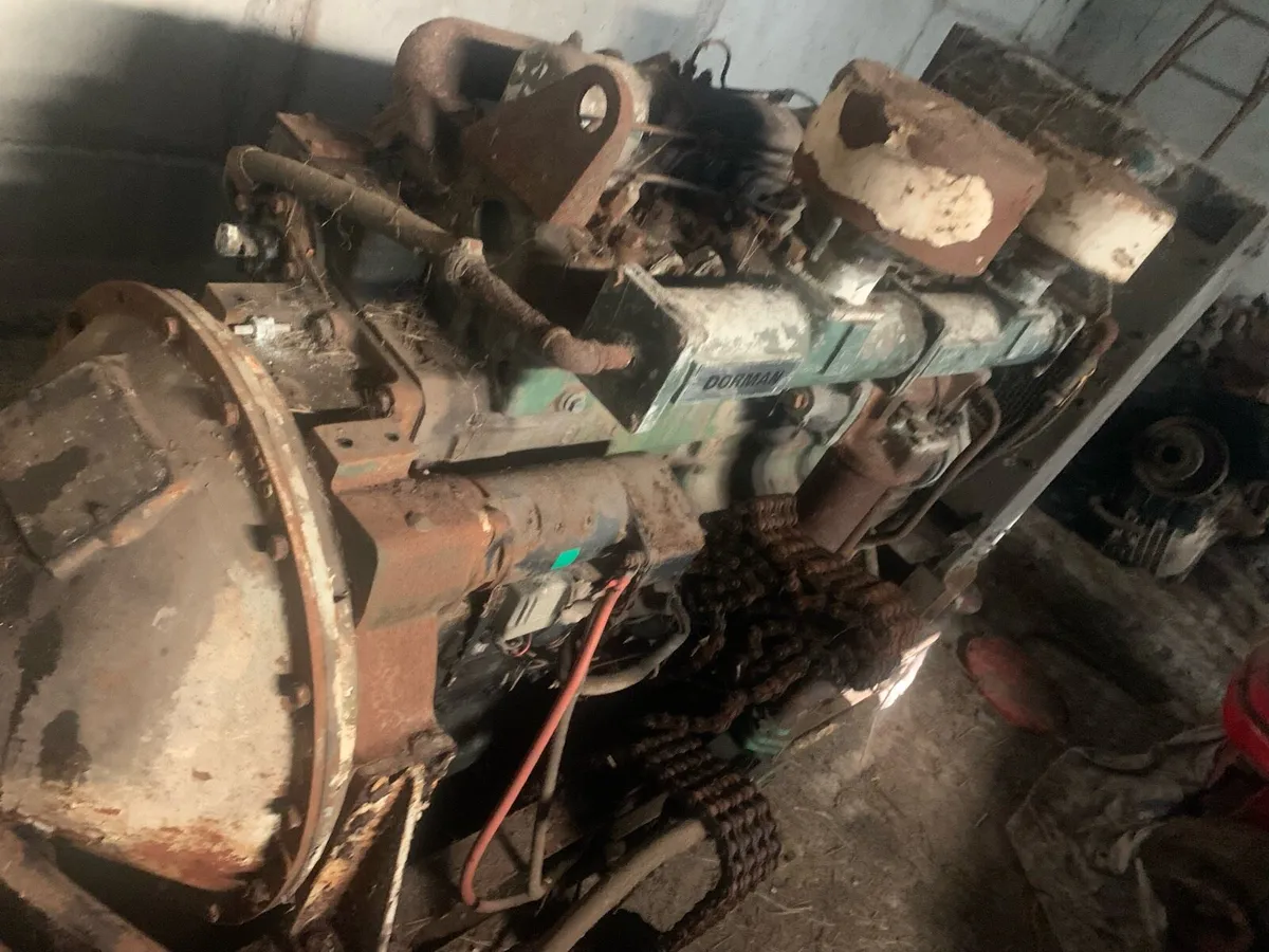 Dorman engine - Image 1