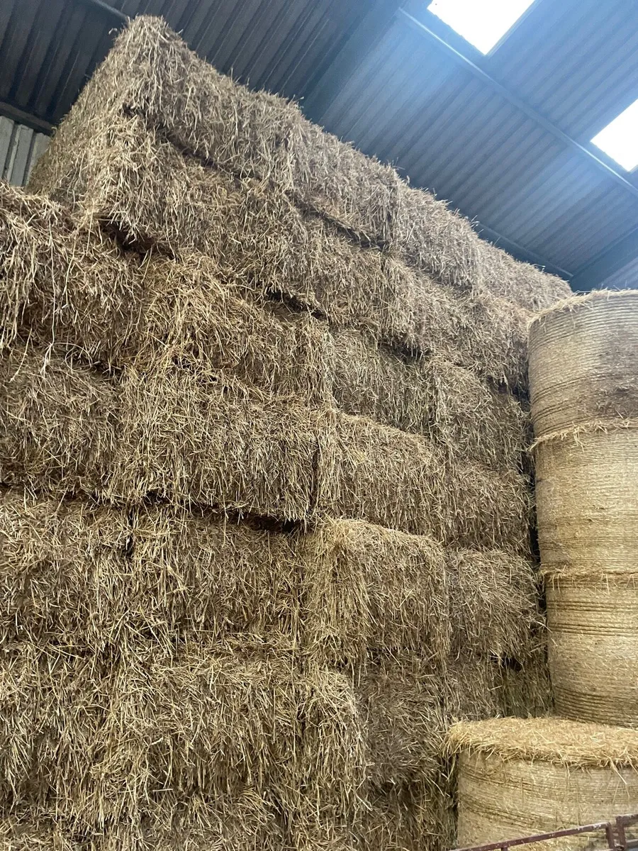 Wheaten straw