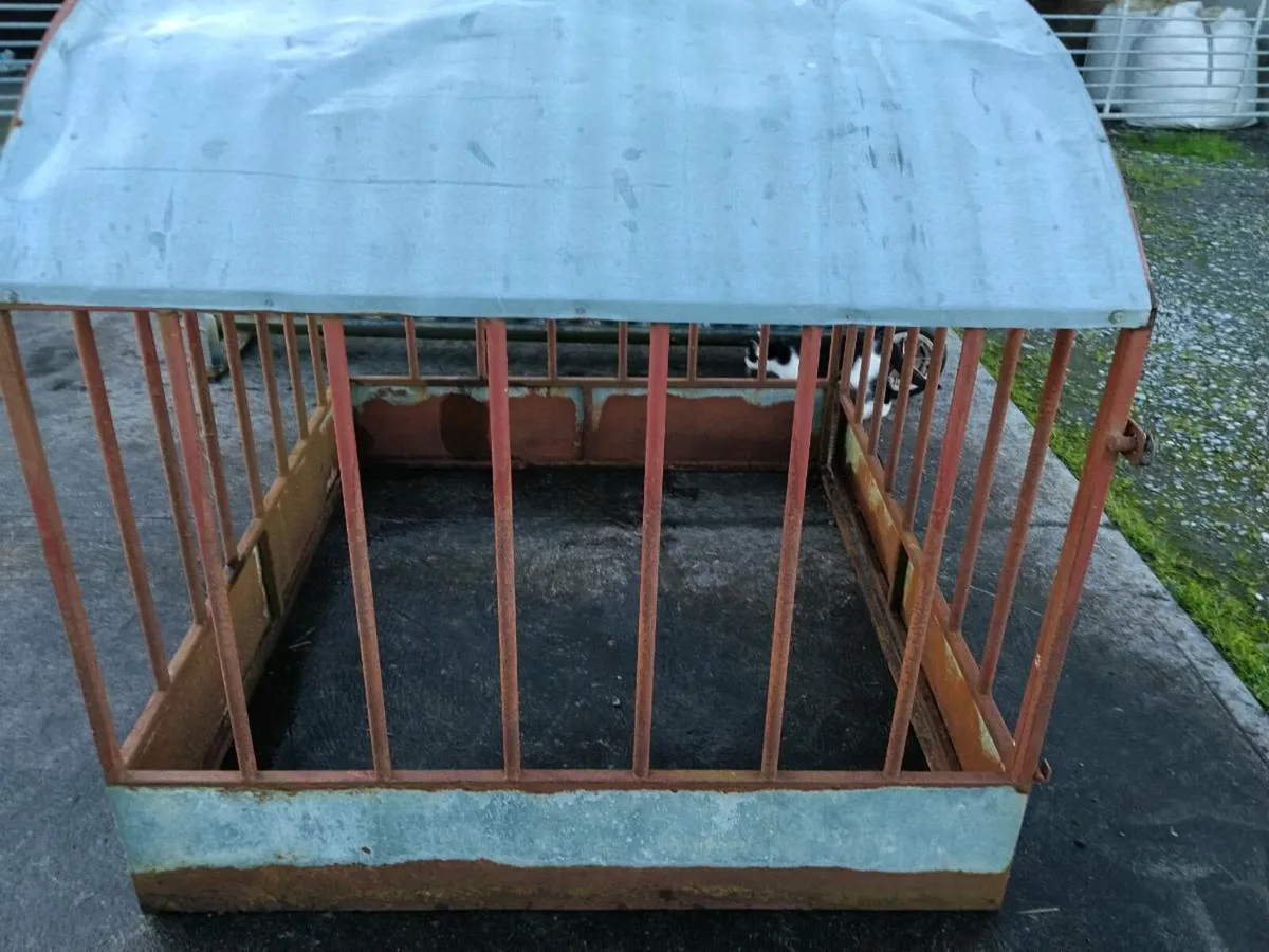 Round bale feeder @ lamb feeder for sale - Image 1