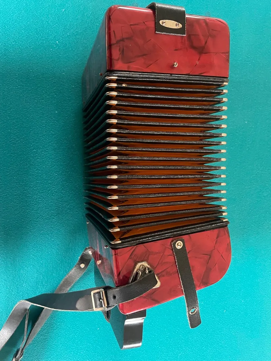 Accordion - Image 4