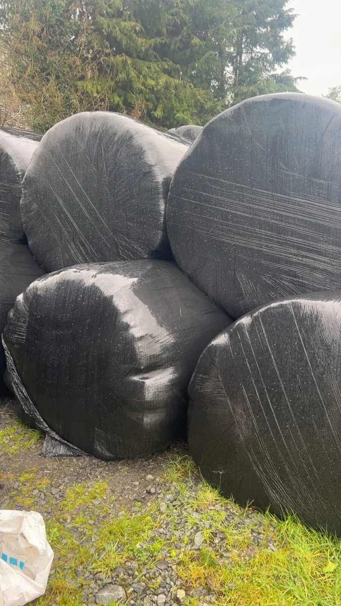 Silage bales