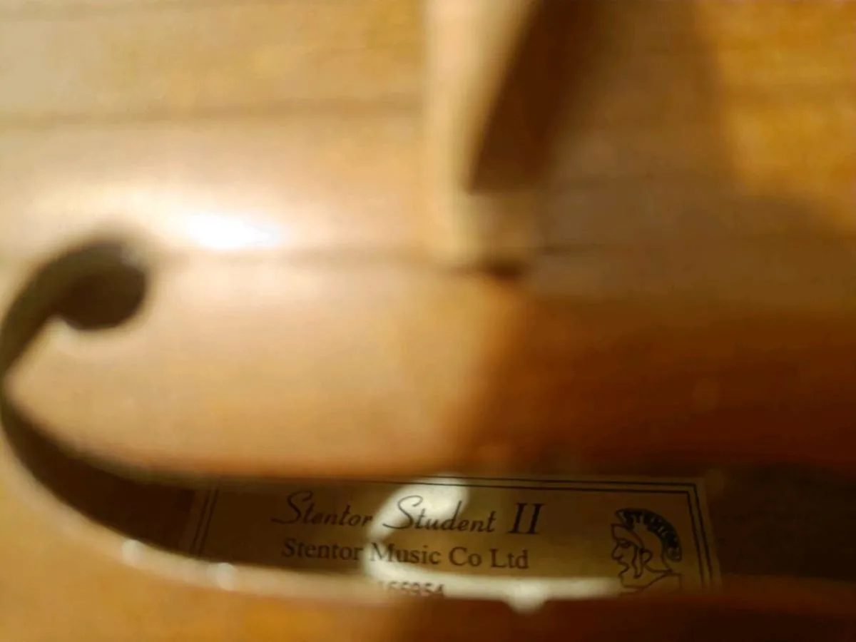 Violin stentor 2 - Image 3