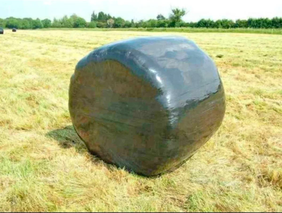 Silage bales - Image 1