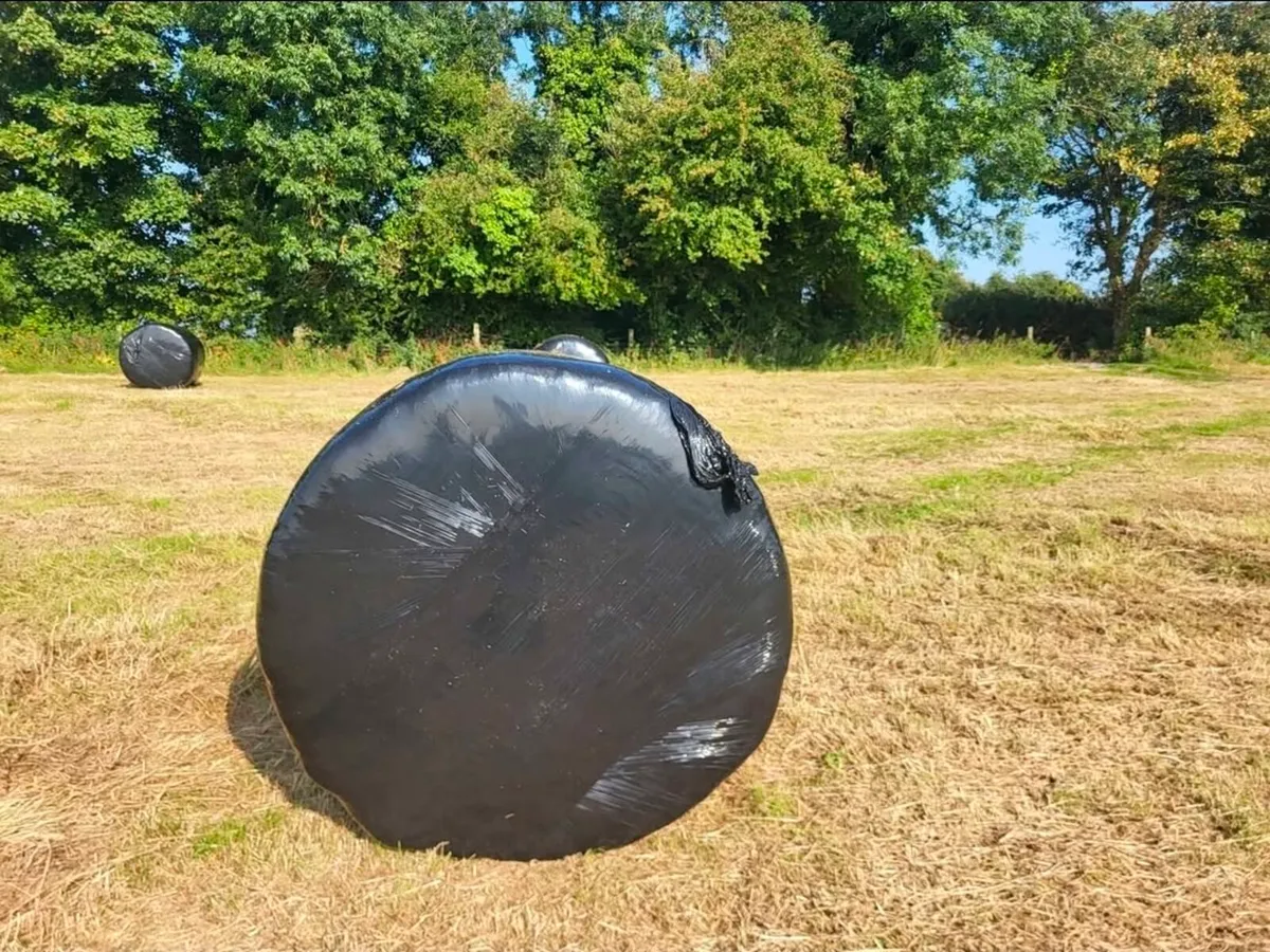 Silage bales - Image 2