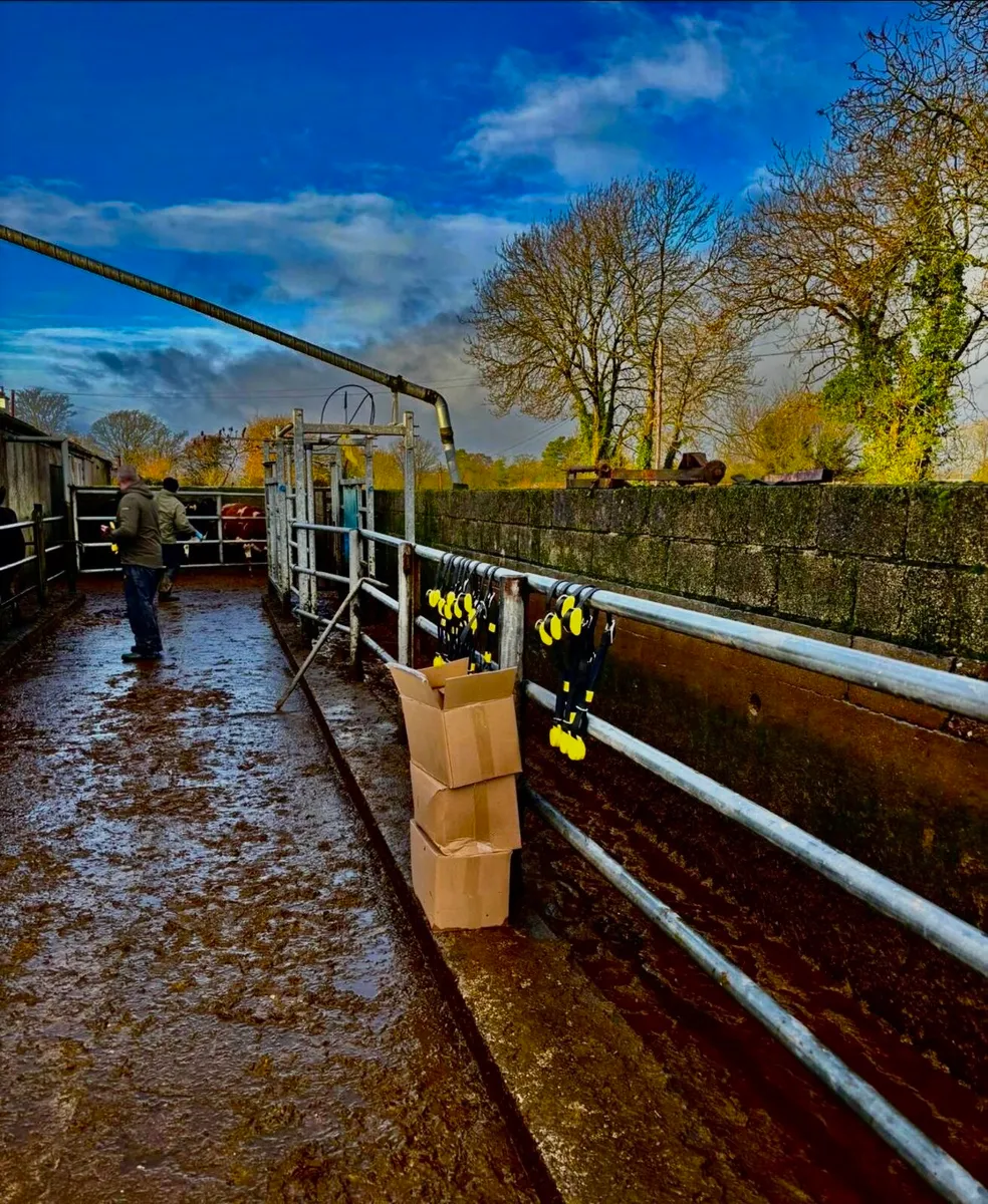 Heat and Health detection - Image 3