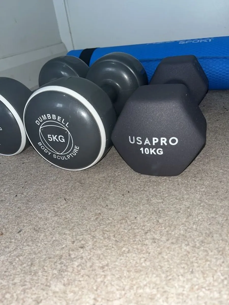 Home Exercise Equipment (Dumbbells, Ab wheel, Foam Roller, Rope, Mat) - Image 3