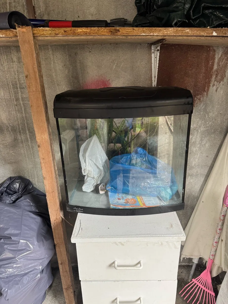 Aquarian Tank - Image 3