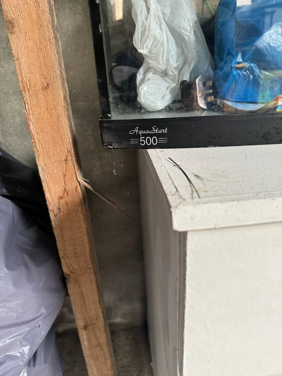 Aquarian Tank - Image 2