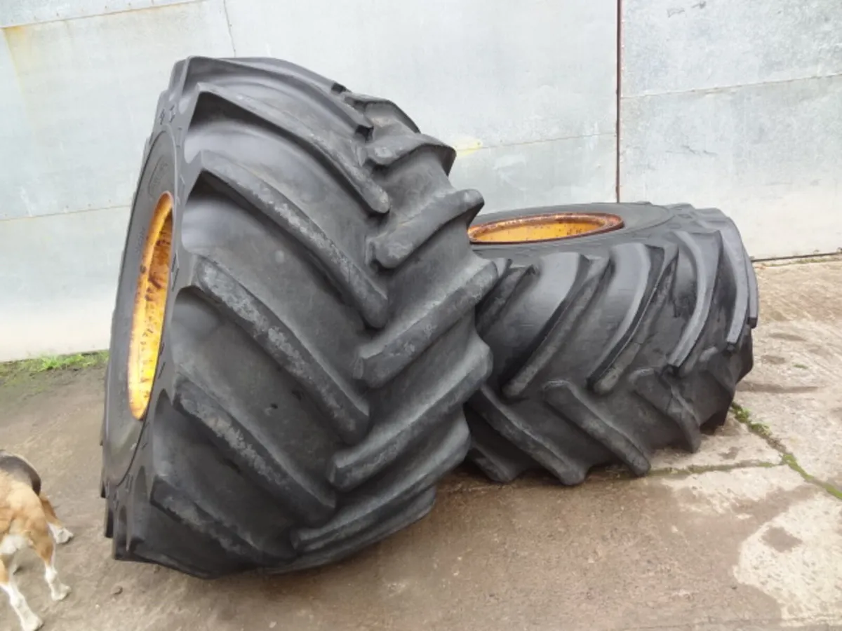 Goodyear Terra Tyre Floatation Wheels - Image 1