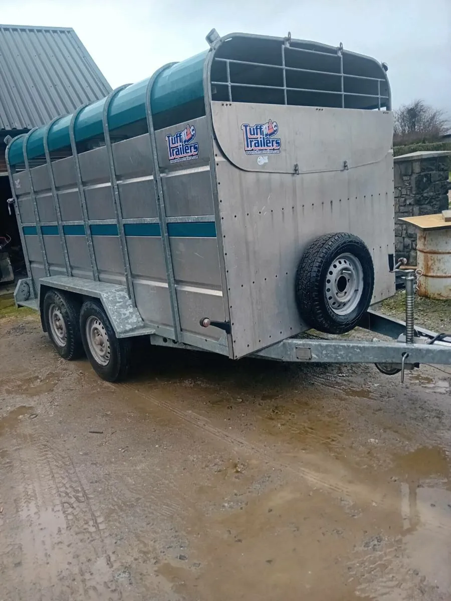 12×6 tuffmac cattle trailer - Image 1