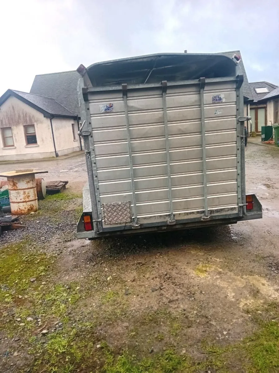 12×6 tuffmac cattle trailer - Image 3