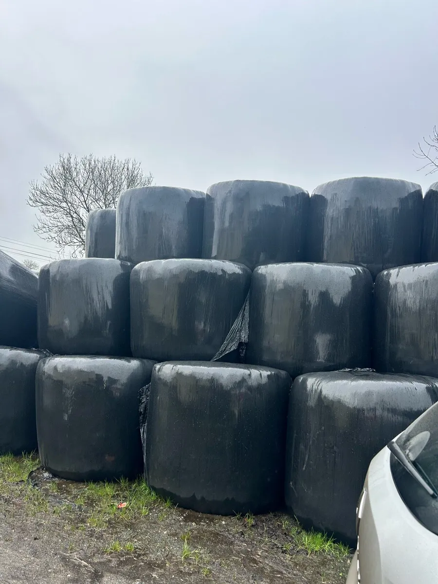 Silage - Image 1