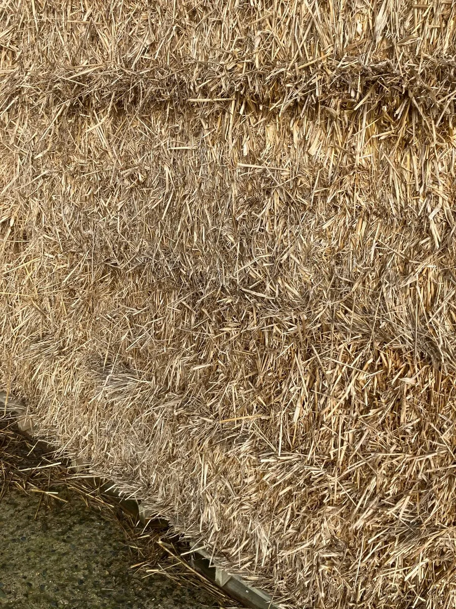 Organic Oat Straw 8x4x3 - Image 2