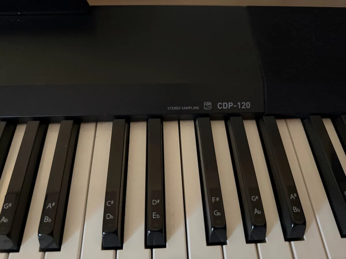Casio CDP-120 digital piano - Image 4