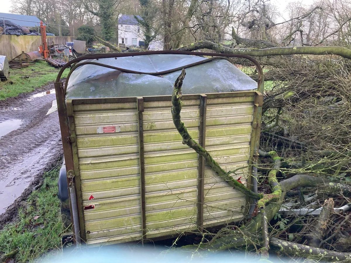 Ifor Williams - Image 3