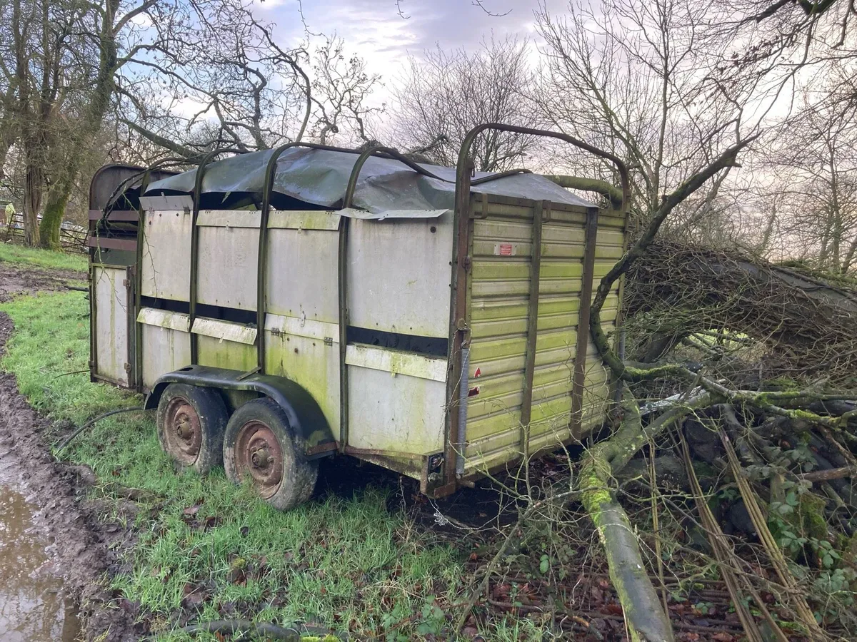 Ifor Williams - Image 2