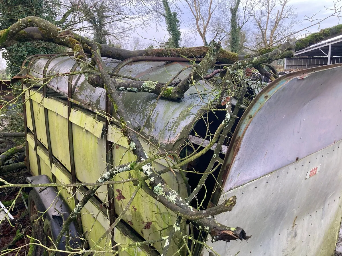 Ifor Williams - Image 4