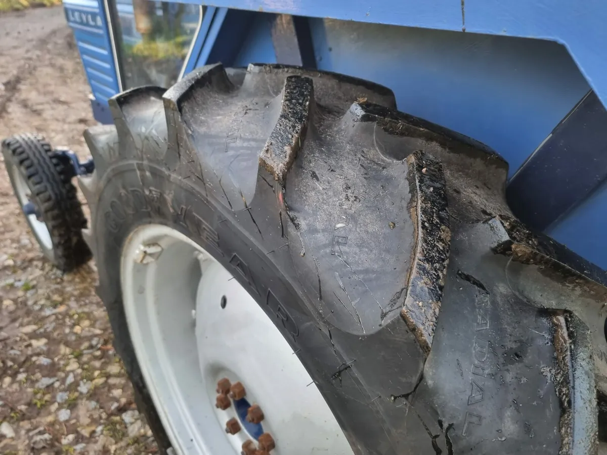 Leyland 245 - Image 4