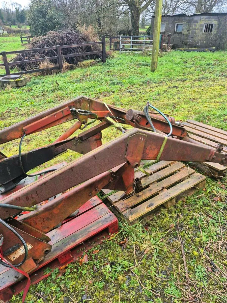 Masses Ferguson loader - Image 2