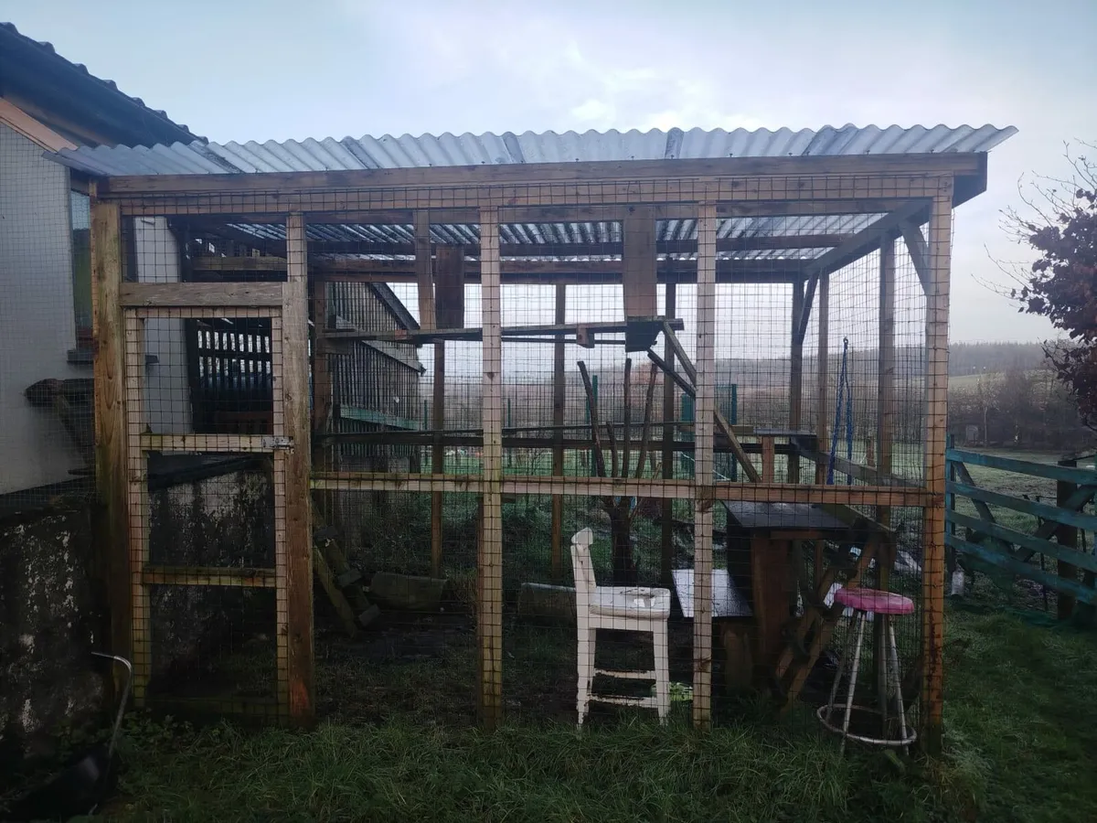Catio - Image 3