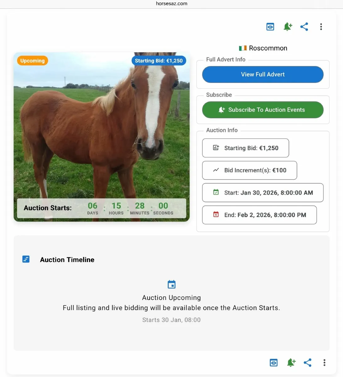 Online Horse Auction – Entries Closing Soon - Image 4